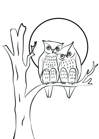 Owls Couple In Love Coloring Page